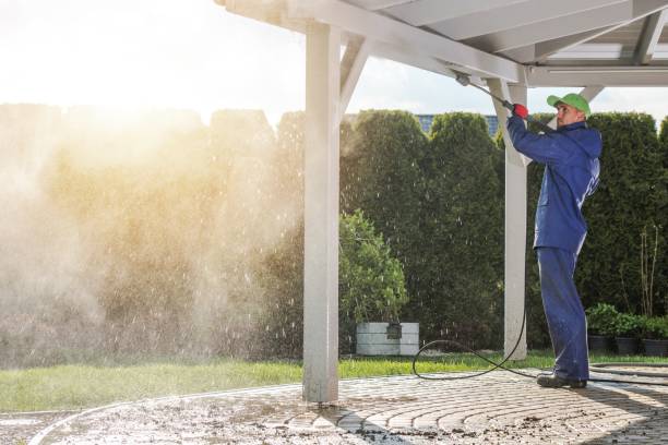 Best Spring Cleaning  in Greenfield, TN