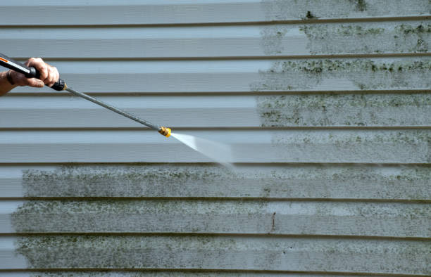 Best Sidewalk and Walkway Cleaning  in Greenfield, TN
